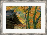 Framed Kibune Shrine, Kyoto, Japan