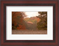 Framed Fall Color around Cable Train Railway, Kyoto, Japan