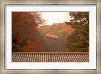 Framed Fall Color around Cable Train Railway, Kyoto, Japan