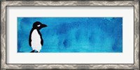 Framed Blue Penguin III