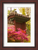 Framed Azaleas, The Deoksugung Palace Complex, Seoul, South Korea