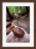 Framed Rainforest Stream, Bako National Park, Borneo, Malaysia