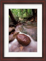 Framed Rainforest Stream, Bako National Park, Borneo, Malaysia