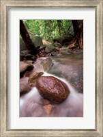 Framed Rainforest Stream, Bako National Park, Borneo, Malaysia