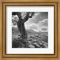 Framed Outcrop II