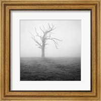 Framed Misty Weather II