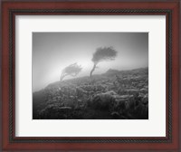 Framed Misty Weather VI