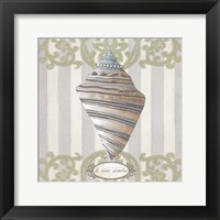 Riviera Shell II Framed Print