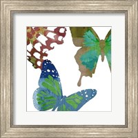 Framed Scattered Butterflies II