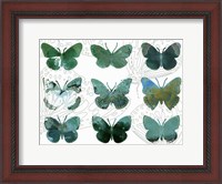 Framed Layered Butterflies I