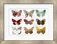 Framed Layered Butterflies II