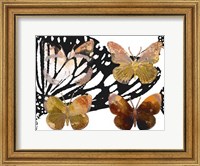 Framed Layered Butterflies III