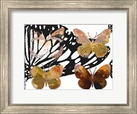 Framed Layered Butterflies III