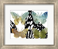 Framed Layered Butterflies IV