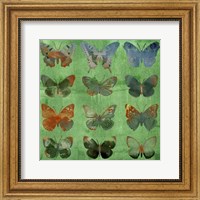 Framed Butterflies on Green