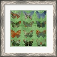 Framed Butterflies on Green