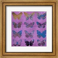 Framed Butterflies on Magenta
