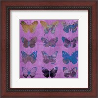 Framed Butterflies on Magenta