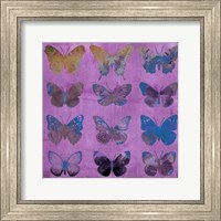 Framed Butterflies on Magenta