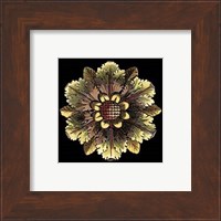 Framed Rosette on Black I