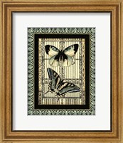 Framed Small Butterfly Fancy I