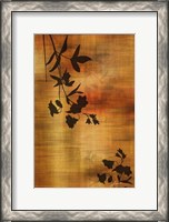 Framed Sepia Floral II