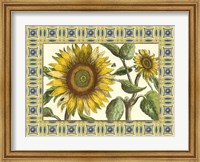 Framed Classical Sunflower I