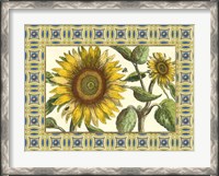 Framed Classical Sunflower I