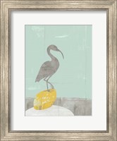 Framed Heron Collage II