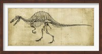 Framed Spinosaurus Study