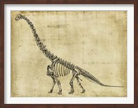 Framed Brachiosaurus Study
