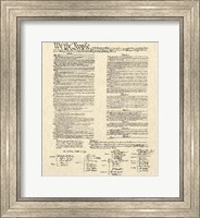 Framed Constitution Document