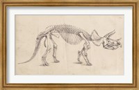 Framed Dinosaur Study II