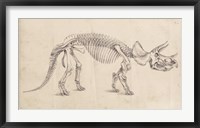 Dinosaur Study II Framed Print