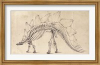 Framed Dinosaur Study III