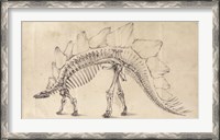 Framed Dinosaur Study III
