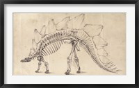 Framed Dinosaur Study III