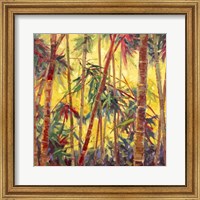 Framed Bamboo Grove II