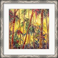 Framed Bamboo Grove II