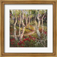 Framed Four Seasons Aspens I