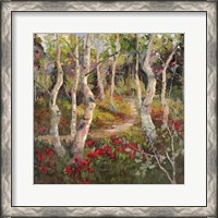Framed Four Seasons Aspens I