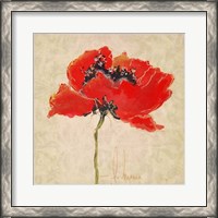 Framed Vivid Red Poppies III