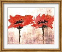 Framed Vivid Red Poppies V
