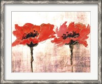 Framed Vivid Red Poppies V