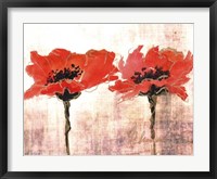 Framed Vivid Red Poppies V