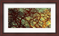 Framed Entangle I