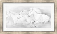 Framed All the White Horses