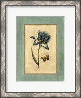 Framed Crackled Spa Blue Tulip I