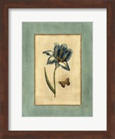 Framed Crackled Spa Blue Tulip I