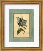 Framed Crackled Spa Blue Tulip II